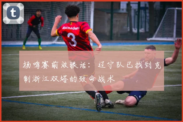 杨鸣赛前放狠话：辽宁队已找到克制浙江双塔的致命战术